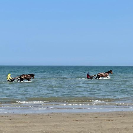 Villa Les Myrtilles Cabourg Exteriér fotografie